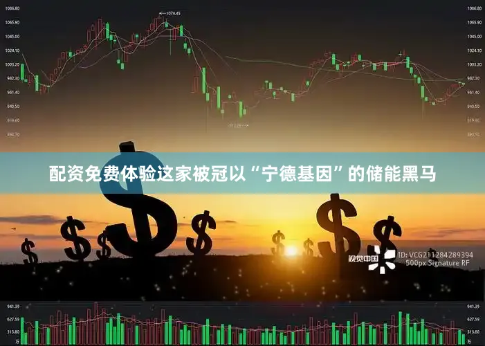 配资免费体验这家被冠以“宁德基因”的储能黑马