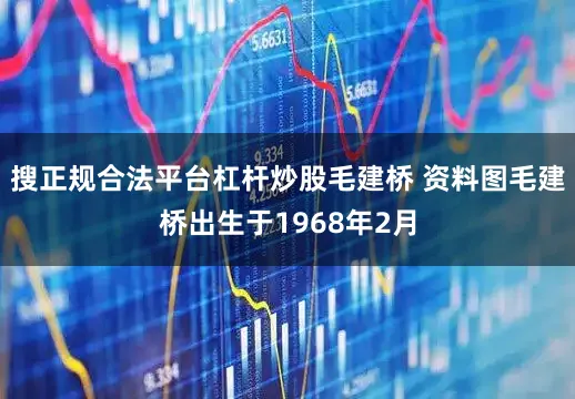 搜正规合法平台杠杆炒股毛建桥 资料图毛建桥出生于1968年2月